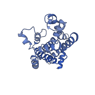 27491_8dku_D_v1-0
CryoEM structure of the A. aeolicus WzmWzt transporter bound to the native O antigen