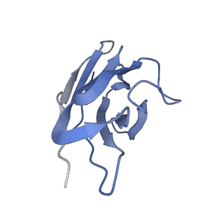 27492_8dkw_B_v1-2
Cryo-EM structure of cystinosin N288K mutant in a cytosol-open state at pH5.0
