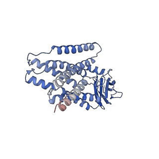 27492_8dkw_P_v1-2
Cryo-EM structure of cystinosin N288K mutant in a cytosol-open state at pH5.0