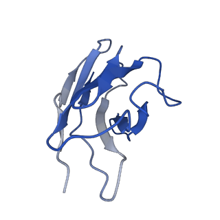 27493_8dkx_B_v1-2
Cryo-EM structure of cystinosin N288K mutant in a cytosol-open state at pH7.5