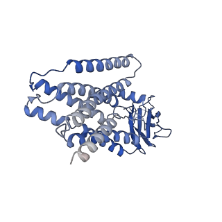 27493_8dkx_P_v1-2
Cryo-EM structure of cystinosin N288K mutant in a cytosol-open state at pH7.5