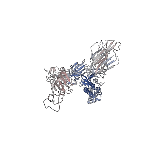 30704_7dk6_B_v1-2
S-2H2-F2 structure, two RBDs are up and one RBD is down, each up RBD binds with a 2H2 Fab.