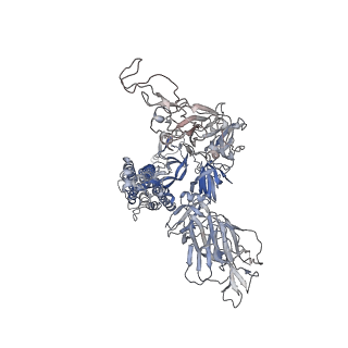 30704_7dk6_C_v1-2
S-2H2-F2 structure, two RBDs are up and one RBD is down, each up RBD binds with a 2H2 Fab.