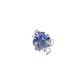 30707_7dkj_A_v1-2
Hemagglutinin Influenza A virus (A/Okuda/1957(H2N2) bound with a neutralizing antibody
