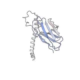 30707_7dkj_D_v1-2
Hemagglutinin Influenza A virus (A/Okuda/1957(H2N2) bound with a neutralizing antibody