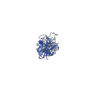 30707_7dkj_E_v1-2
Hemagglutinin Influenza A virus (A/Okuda/1957(H2N2) bound with a neutralizing antibody