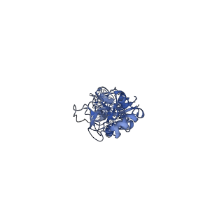 30707_7dkj_I_v1-2
Hemagglutinin Influenza A virus (A/Okuda/1957(H2N2) bound with a neutralizing antibody