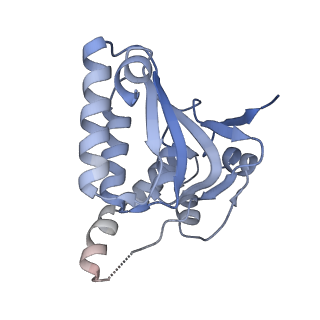 7952_6dkf_A_v1-3
Caseinolytic protease (ClpP) from Staphylococcus aureus mutant - V7A