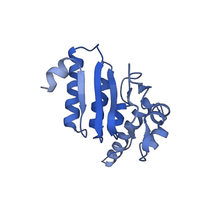7952_6dkf_B_v1-3
Caseinolytic protease (ClpP) from Staphylococcus aureus mutant - V7A