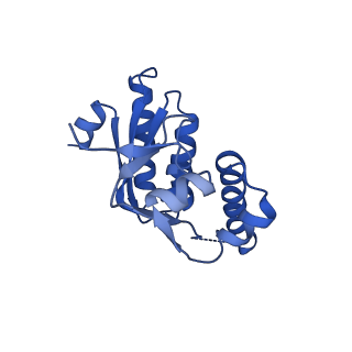 7952_6dkf_C_v1-3
Caseinolytic protease (ClpP) from Staphylococcus aureus mutant - V7A