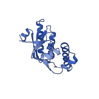 7952_6dkf_C_v1-4
Caseinolytic protease (ClpP) from Staphylococcus aureus mutant - V7A