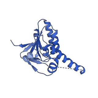 7952_6dkf_D_v1-3
Caseinolytic protease (ClpP) from Staphylococcus aureus mutant - V7A