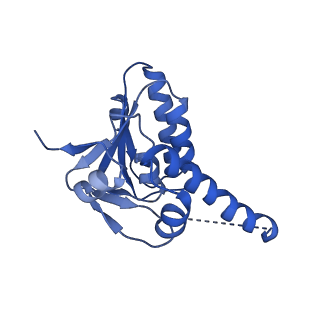 7952_6dkf_D_v1-4
Caseinolytic protease (ClpP) from Staphylococcus aureus mutant - V7A