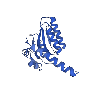 7952_6dkf_E_v1-4
Caseinolytic protease (ClpP) from Staphylococcus aureus mutant - V7A