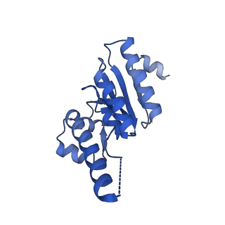 7952_6dkf_F_v1-3
Caseinolytic protease (ClpP) from Staphylococcus aureus mutant - V7A
