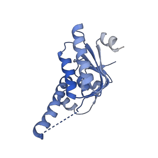 7952_6dkf_G_v1-3
Caseinolytic protease (ClpP) from Staphylococcus aureus mutant - V7A
