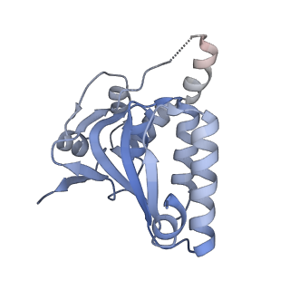 7952_6dkf_H_v1-3
Caseinolytic protease (ClpP) from Staphylococcus aureus mutant - V7A