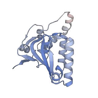 7952_6dkf_H_v1-4
Caseinolytic protease (ClpP) from Staphylococcus aureus mutant - V7A