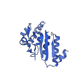 7952_6dkf_I_v1-3
Caseinolytic protease (ClpP) from Staphylococcus aureus mutant - V7A