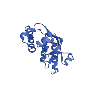 7952_6dkf_J_v1-3
Caseinolytic protease (ClpP) from Staphylococcus aureus mutant - V7A