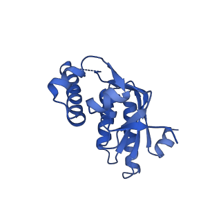 7952_6dkf_J_v1-4
Caseinolytic protease (ClpP) from Staphylococcus aureus mutant - V7A