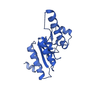 7952_6dkf_M_v1-3
Caseinolytic protease (ClpP) from Staphylococcus aureus mutant - V7A