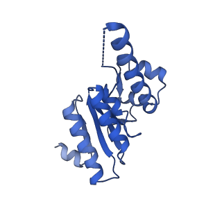 7952_6dkf_M_v1-4
Caseinolytic protease (ClpP) from Staphylococcus aureus mutant - V7A