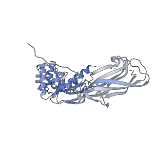 27494_8dl0_A_v1-0
CryoEM structure of the nucleotide-free and open channel A.aeolicus WzmWzt transporter