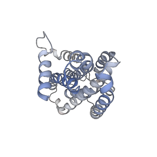 27494_8dl0_B_v1-0
CryoEM structure of the nucleotide-free and open channel A.aeolicus WzmWzt transporter