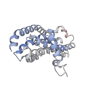 27494_8dl0_D_v1-0
CryoEM structure of the nucleotide-free and open channel A.aeolicus WzmWzt transporter