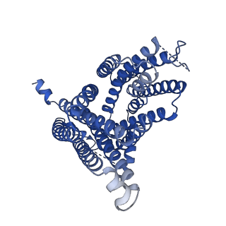 27497_8dl6_A_v1-0
Cryo-EM structure of human ferroportin/slc40 bound to Ca2+ in nanodisc