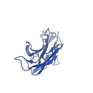 27497_8dl6_C_v1-0
Cryo-EM structure of human ferroportin/slc40 bound to Ca2+ in nanodisc