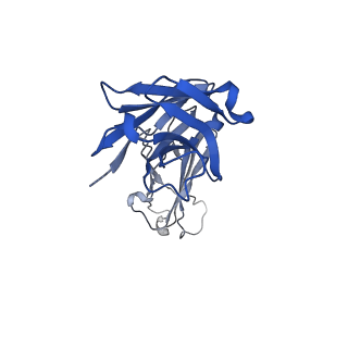 27497_8dl6_D_v1-0
Cryo-EM structure of human ferroportin/slc40 bound to Ca2+ in nanodisc