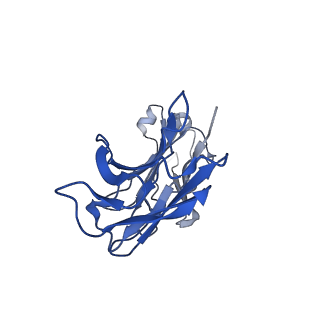 27498_8dl7_C_v1-1
Cryo-EM structure of human ferroportin/slc40 bound to minihepcidin PR73 in nanodisc