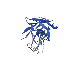 27498_8dl7_D_v1-1
Cryo-EM structure of human ferroportin/slc40 bound to minihepcidin PR73 in nanodisc