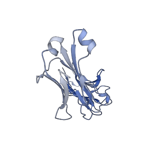 27499_8dl8_C_v1-1
Cryo-EM structure of human ferroportin/slc40 bound to Co2+ in nanodisc