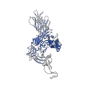 27502_8dli_C_v1-0
Cryo-EM structure of SARS-CoV-2 Alpha (B.1.1.7) spike protein