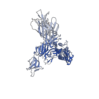 27503_8dlj_A_v1-0
Cryo-EM structure of SARS-CoV-2 Alpha (B.1.1.7) spike protein in complex with human ACE2