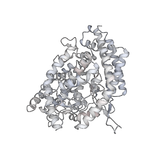 27503_8dlj_E_v1-0
Cryo-EM structure of SARS-CoV-2 Alpha (B.1.1.7) spike protein in complex with human ACE2