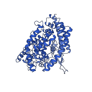27504_8dlk_E_v1-0
Cryo-EM structure of SARS-CoV-2 Alpha (B.1.1.7) spike protein in complex with human ACE2 (focused refinement of RBD and ACE2)