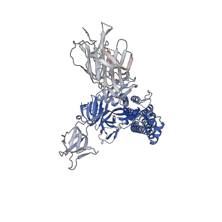 27506_8dlm_A_v1-0
Cryo-EM structure of SARS-CoV-2 Beta (B.1.351) spike protein in complex with human ACE2