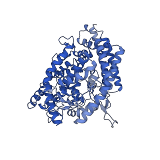 27507_8dln_E_v1-0
Cryo-EM structure of SARS-CoV-2 Beta (B.1.351) spike protein in complex with human ACE2 (focused refinement of RBD and ACE2)