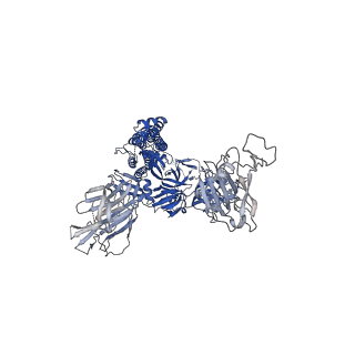 27509_8dlp_B_v1-0
Cryo-EM structure of SARS-CoV-2 Gamma (P.1) spike protein in complex with human ACE2