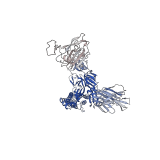 27509_8dlp_C_v1-0
Cryo-EM structure of SARS-CoV-2 Gamma (P.1) spike protein in complex with human ACE2