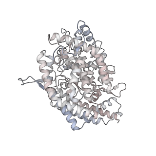 27509_8dlp_D_v1-0
Cryo-EM structure of SARS-CoV-2 Gamma (P.1) spike protein in complex with human ACE2