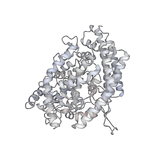 27509_8dlp_E_v1-0
Cryo-EM structure of SARS-CoV-2 Gamma (P.1) spike protein in complex with human ACE2