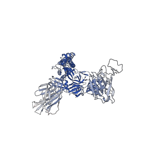 27516_8dlu_B_v1-0
Cryo-EM structure of SARS-CoV-2 Epsilon (B.1.429) spike protein in complex with human ACE2