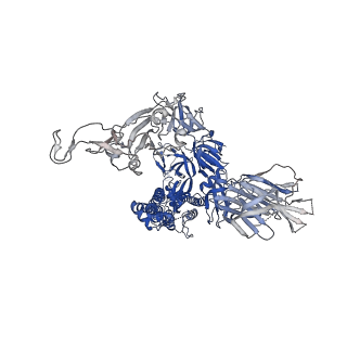 27516_8dlu_C_v1-0
Cryo-EM structure of SARS-CoV-2 Epsilon (B.1.429) spike protein in complex with human ACE2