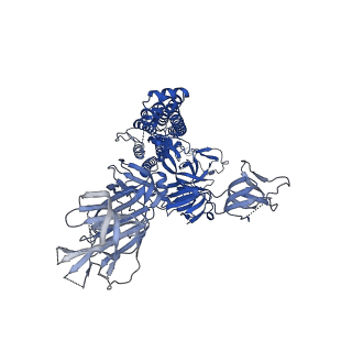 27521_8dlz_A_v1-0
Cryo-EM structure of SARS-CoV-2 D614G spike protein in complex with VH ab6