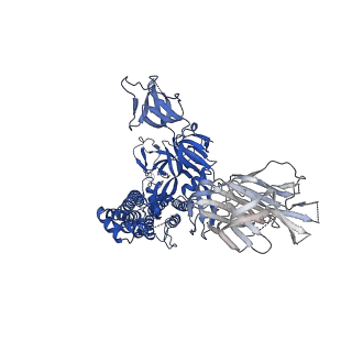 27521_8dlz_B_v1-0
Cryo-EM structure of SARS-CoV-2 D614G spike protein in complex with VH ab6